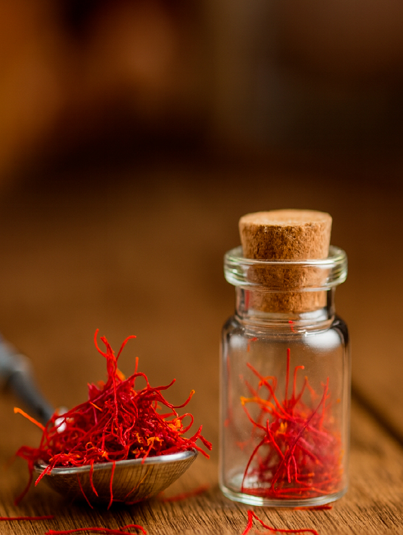 صفحة الرئيسية