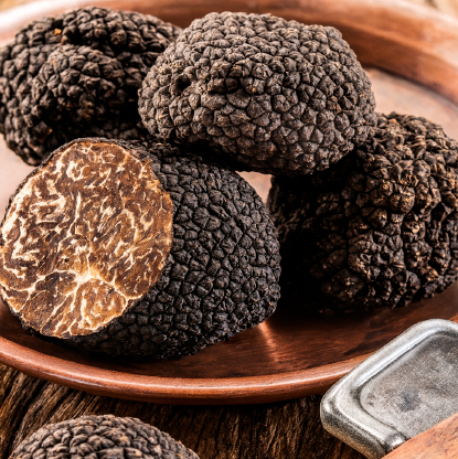 Summer-Black-Truffle-1