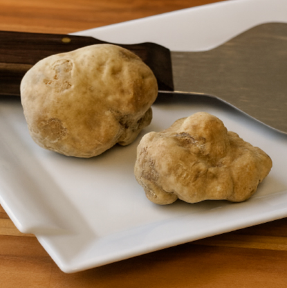 White-Truffle-
