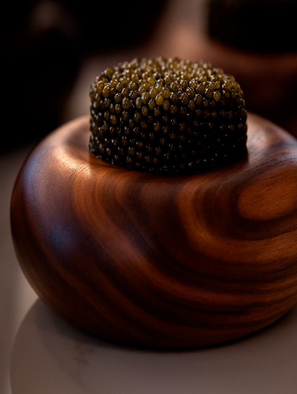 صفحة الرئيسية